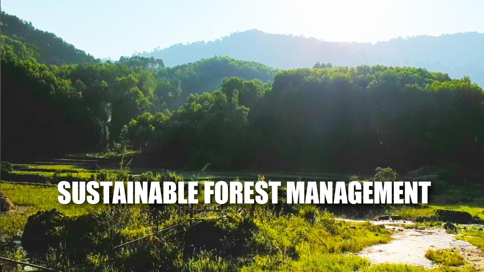Sustainable Forest Landscape Management and Local Livelihoods Transformation - | Executive Summary |
