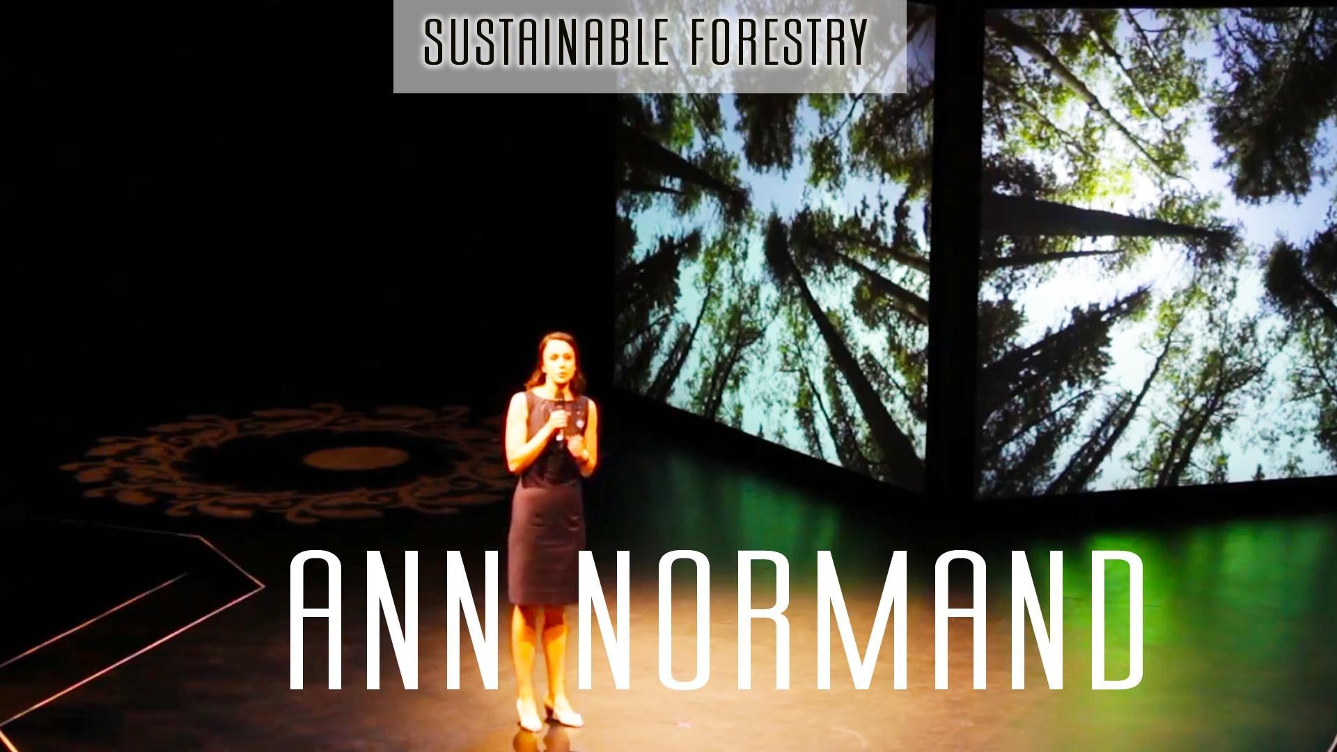 Forestry: Sustainable Innovation | Ann Normand
