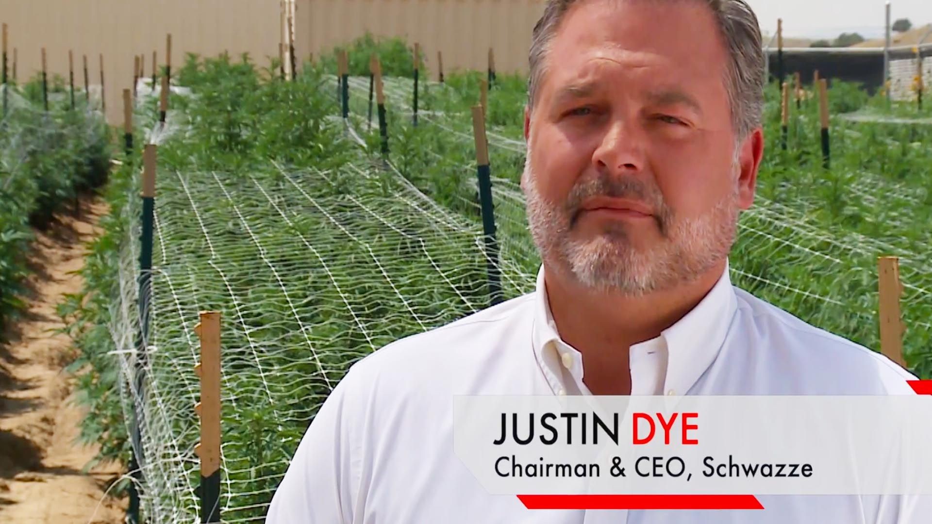 CEO Clips: Schwazze (OTCQX: SHWZ) | From Seed to Sale