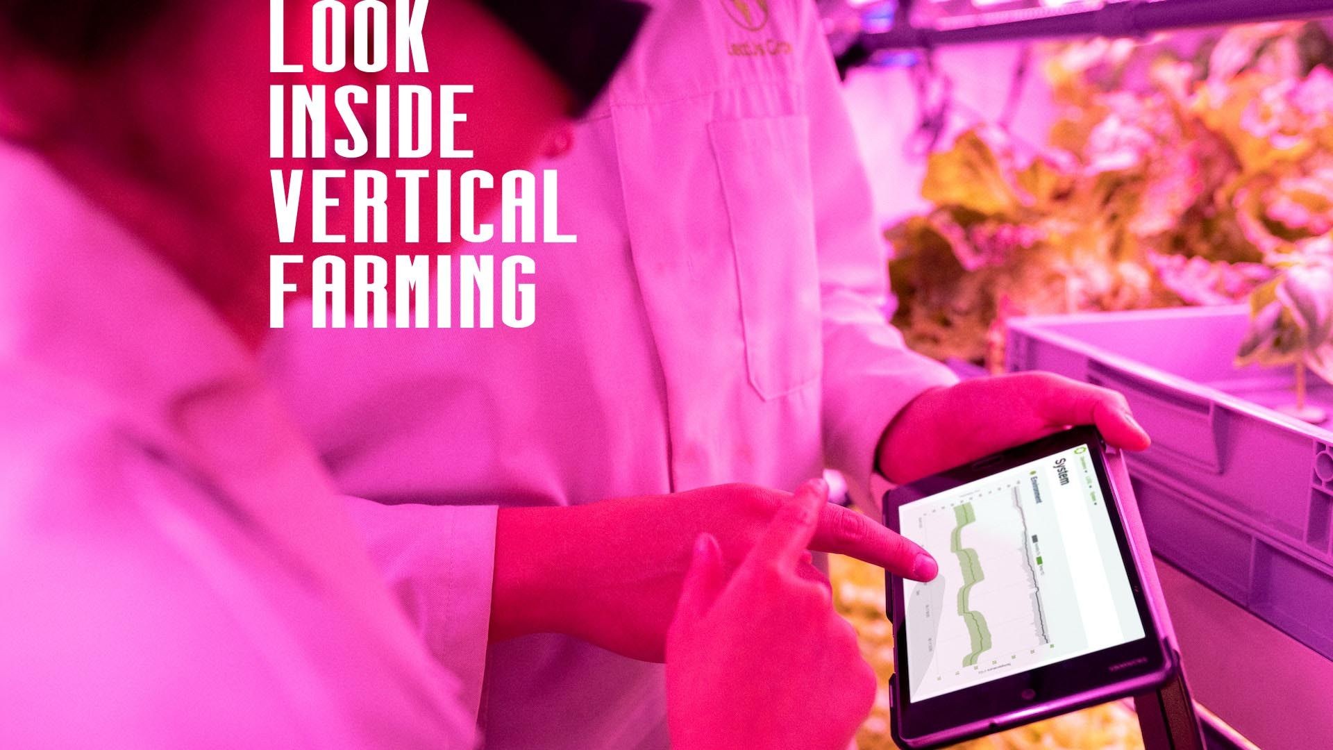 Vertical Farming | Look Inside