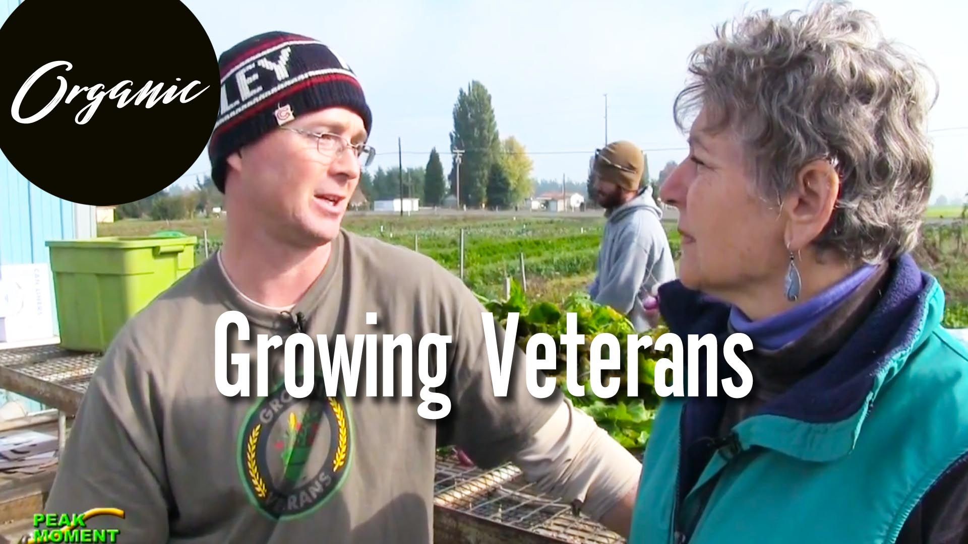 Growing Veterans — From Battlefields to Organic Farm Fields