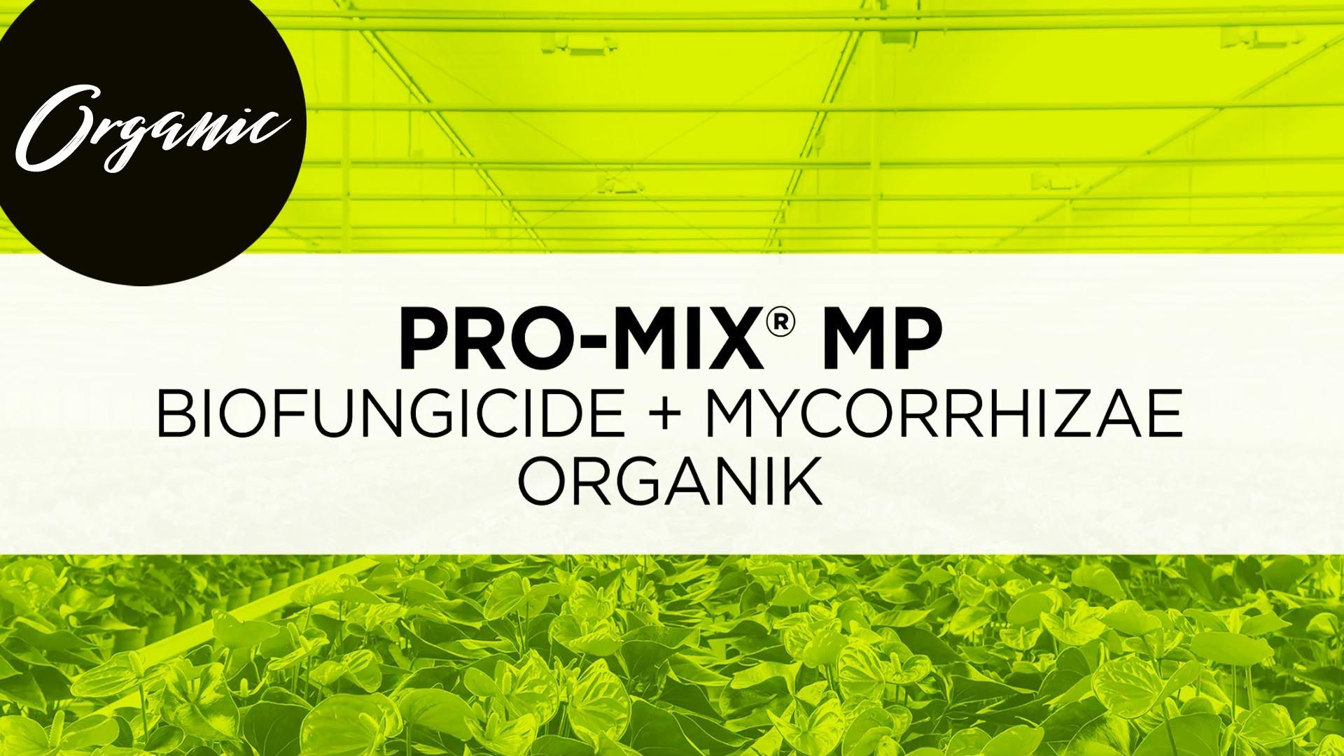 PRO MIX MP ORGANIK BIOFUNGICIDE + MYCORRHIZAE