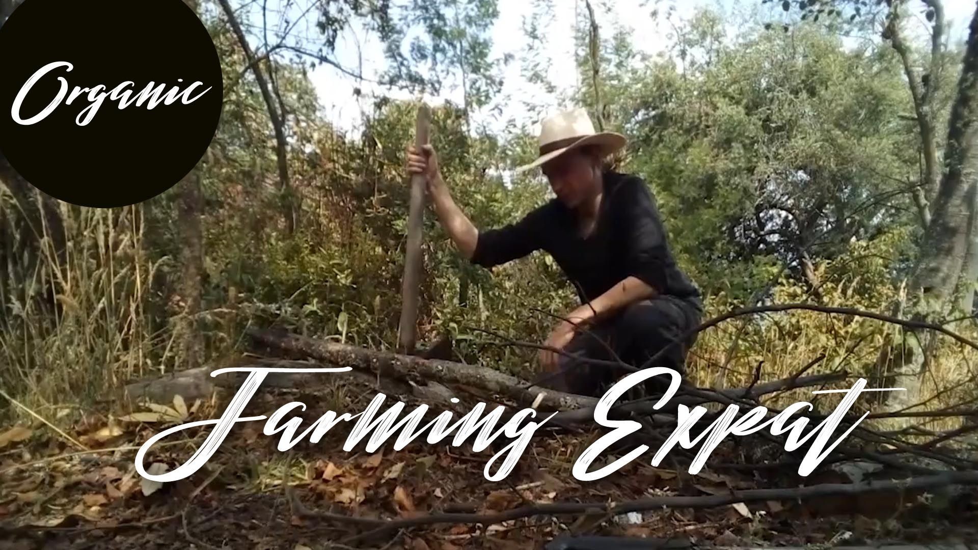 Organic Farming & Expat Living in the Colombian Andes Mountains