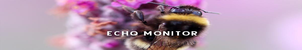 EchoMonitor