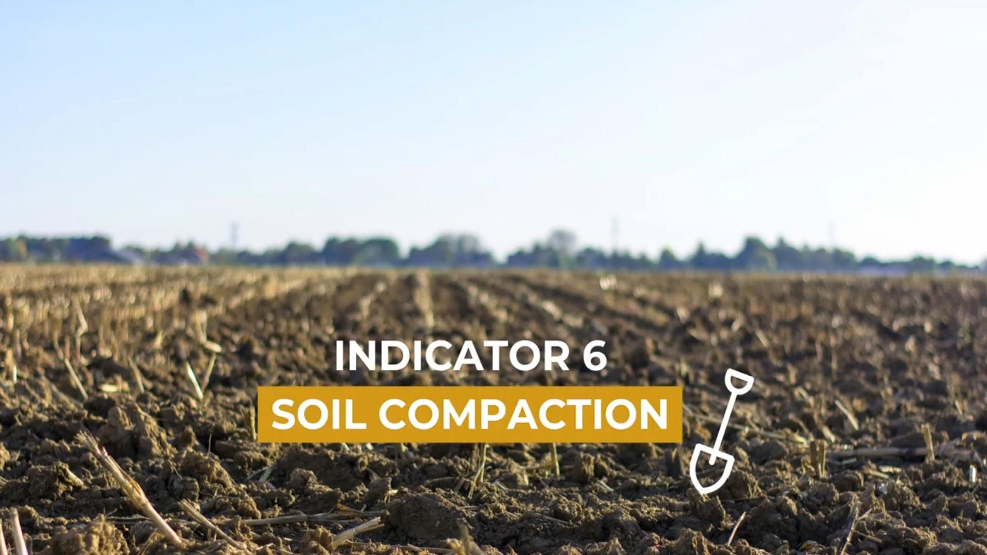 Indicator 6 - Soil Compaction
