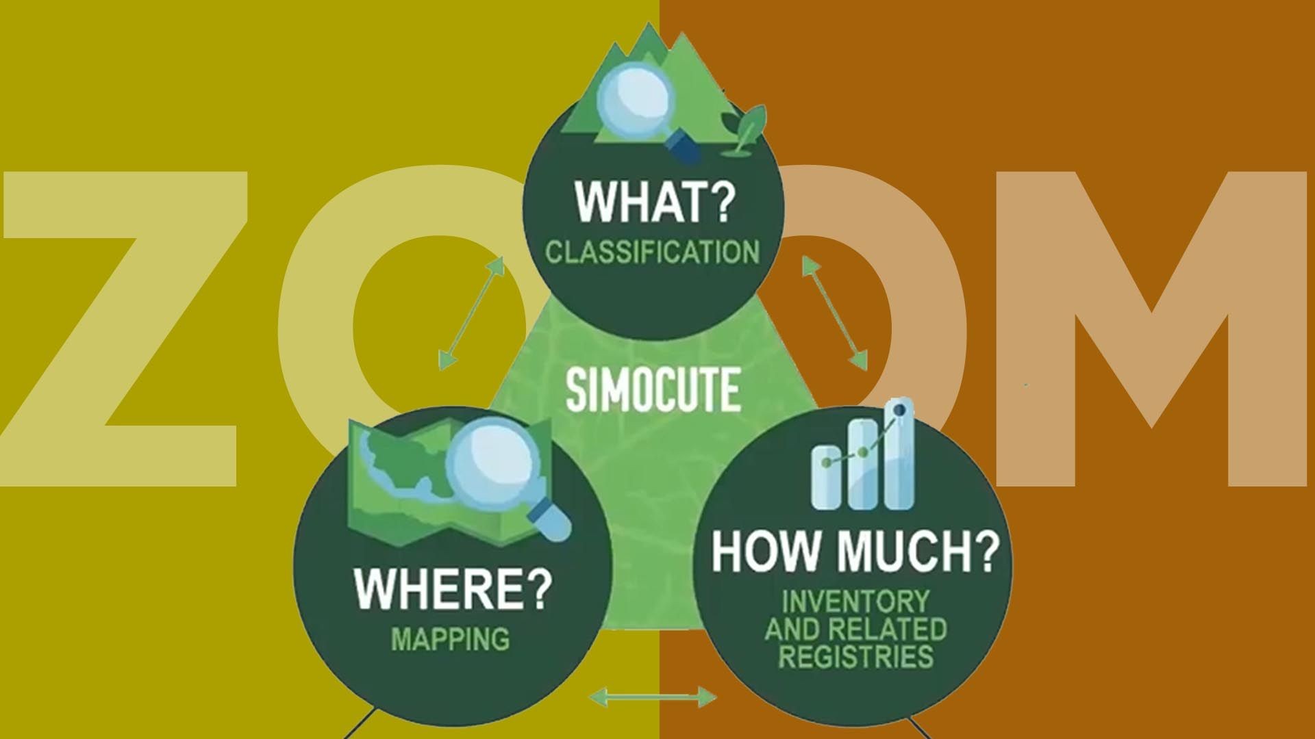 Forest data and transparency: [ Zoom Meeting ] on Costa Rica’s experience