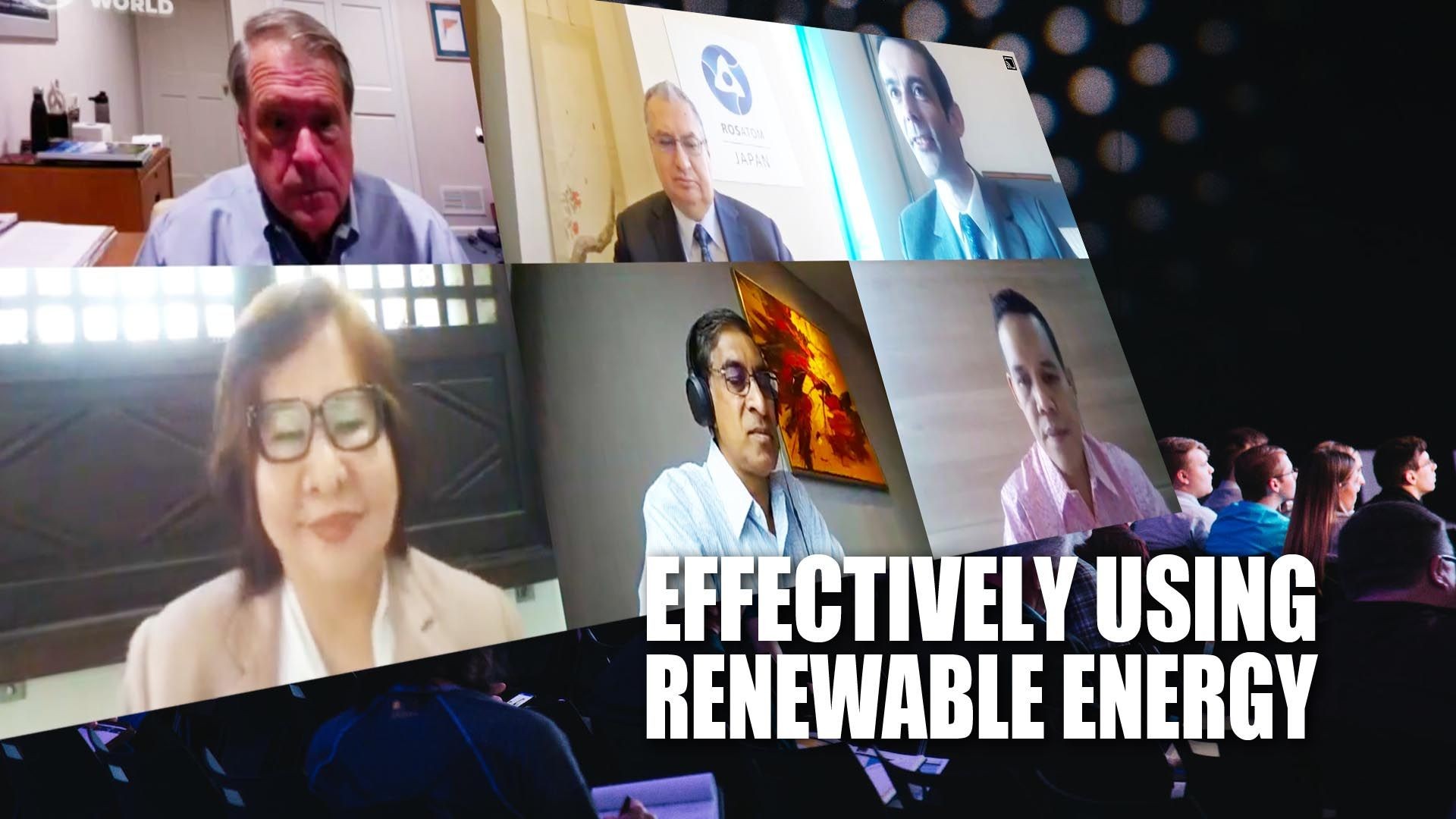 Effectively using Renewable Energy - Horasis Asia Meeting.
