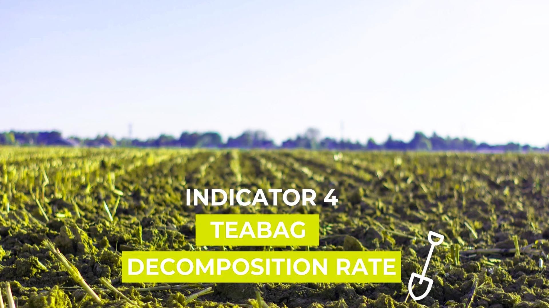 Indicator 4 - Teabag Decomposition Rate