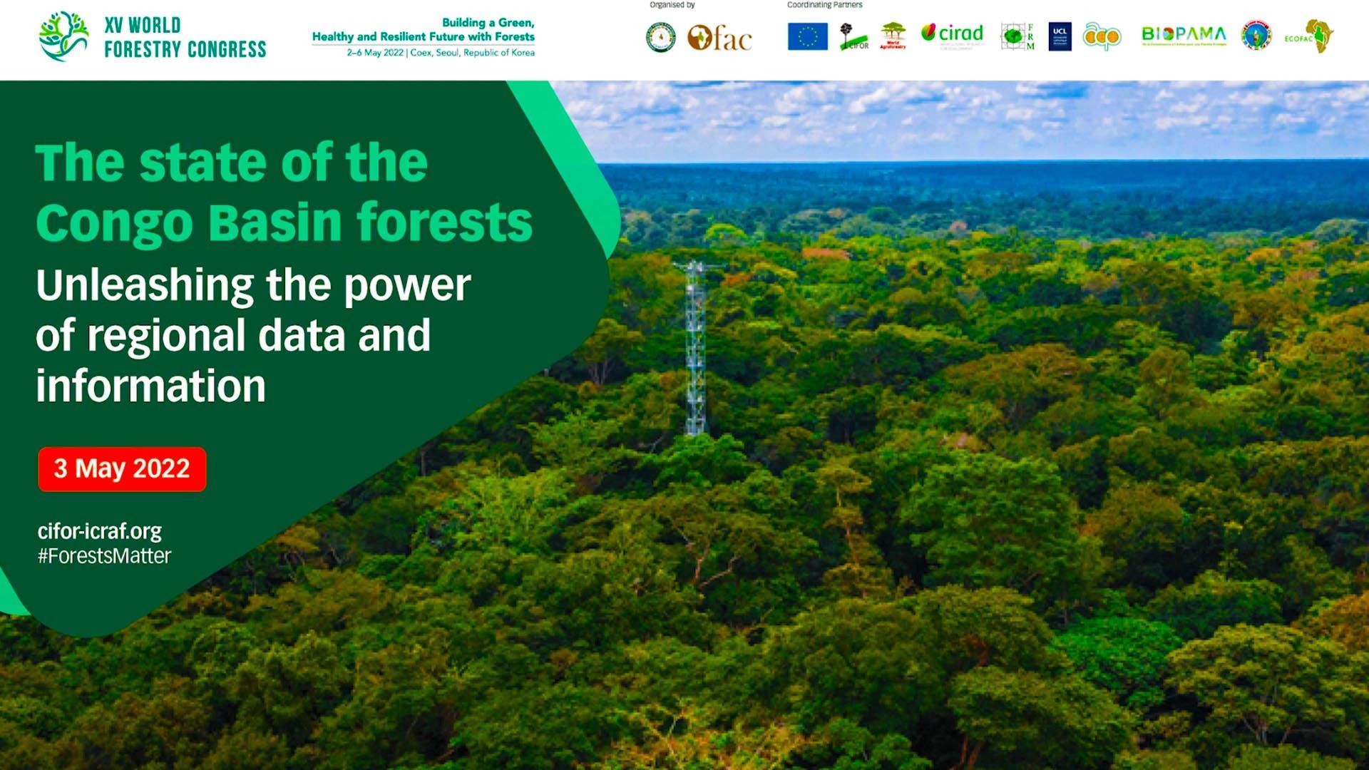 The state of the Congo Basin forests: Unleashing the power of regional data and information