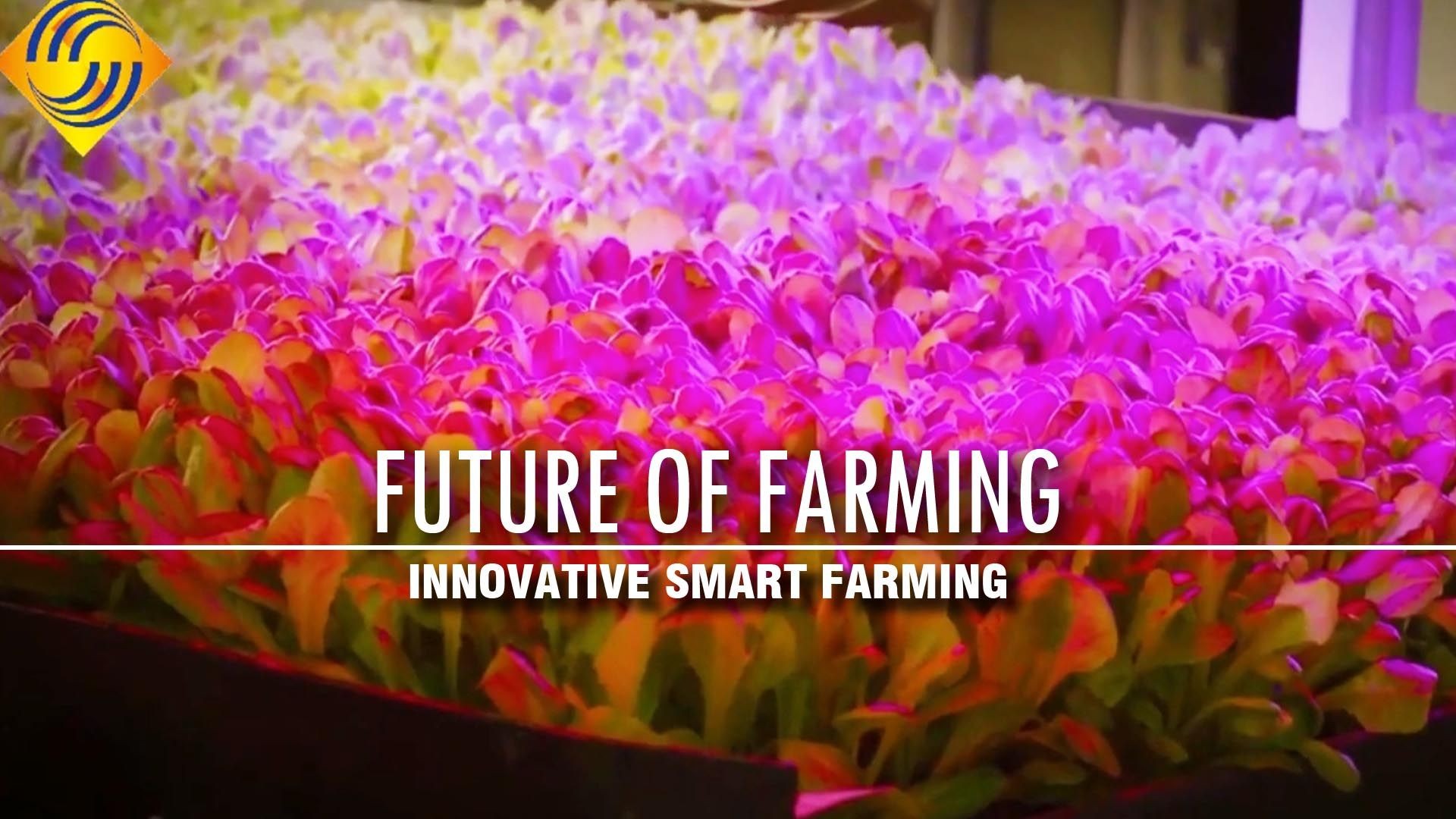 Future of Farming | Innovative Smart Farming