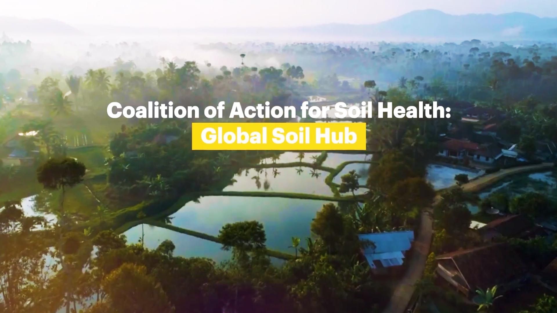 Coalition of Action for Soil Health: Global Soil Hub