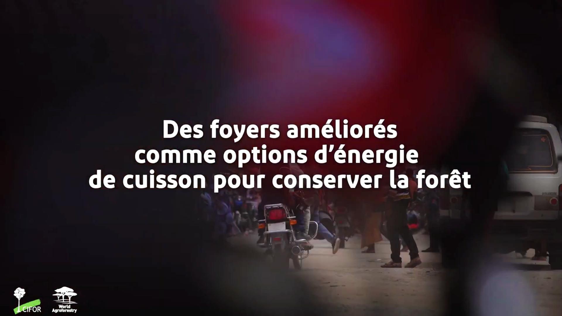 Des foyers améliorés comme options d'énergie de cuisson pour conserver la forêt