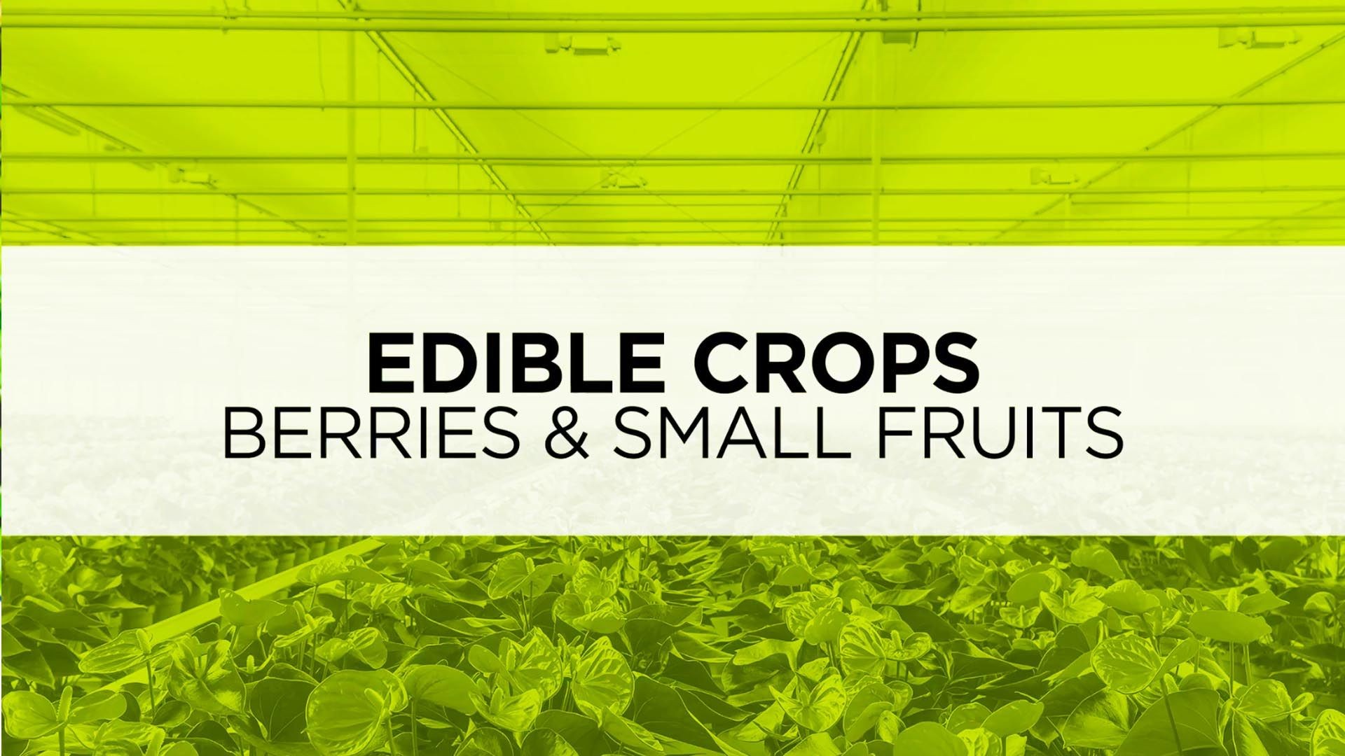 Best PRO-MIX Growing Media for Edible Crops: Berries and Small Fruits