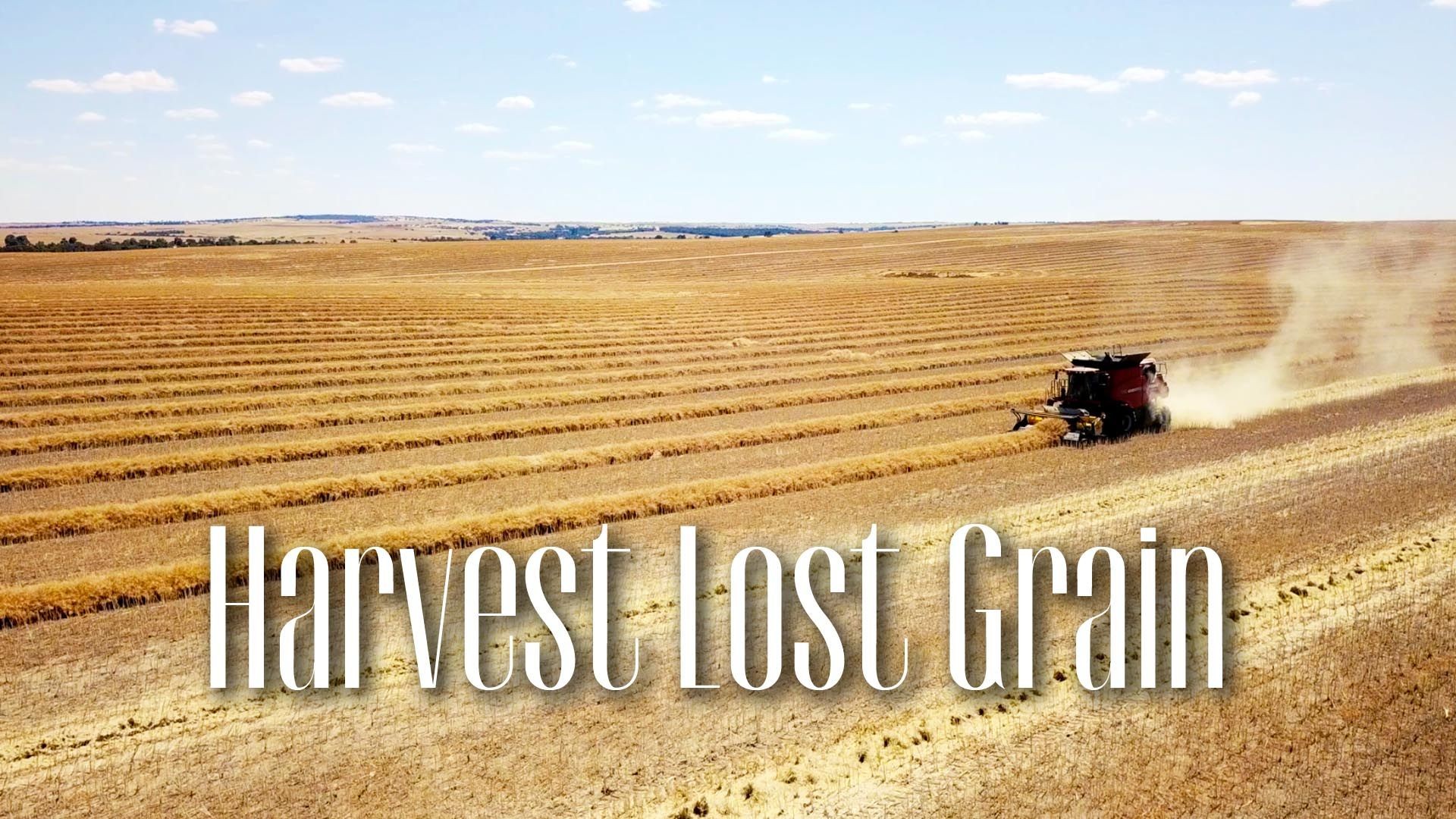 Any idea how much of your grain was lost during harvest