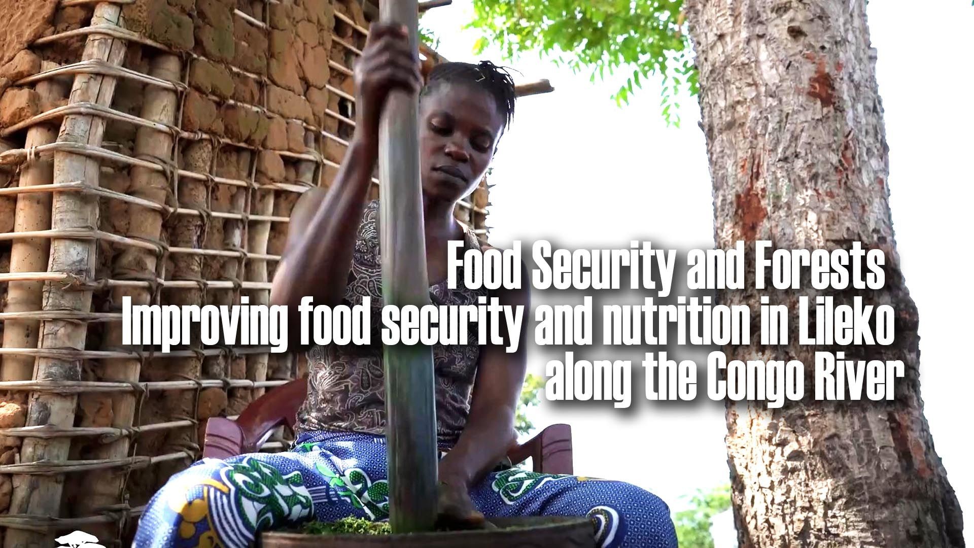 Food Security and Forests: Improving food security and nutrition in Lileko along the Congo River
