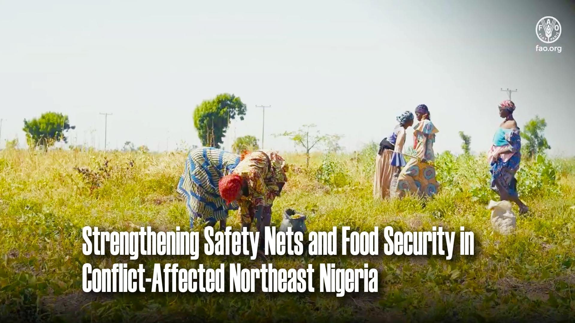 Strengthening Safety Nets and Food Security in Conflict-Affected Northeast Nigeria