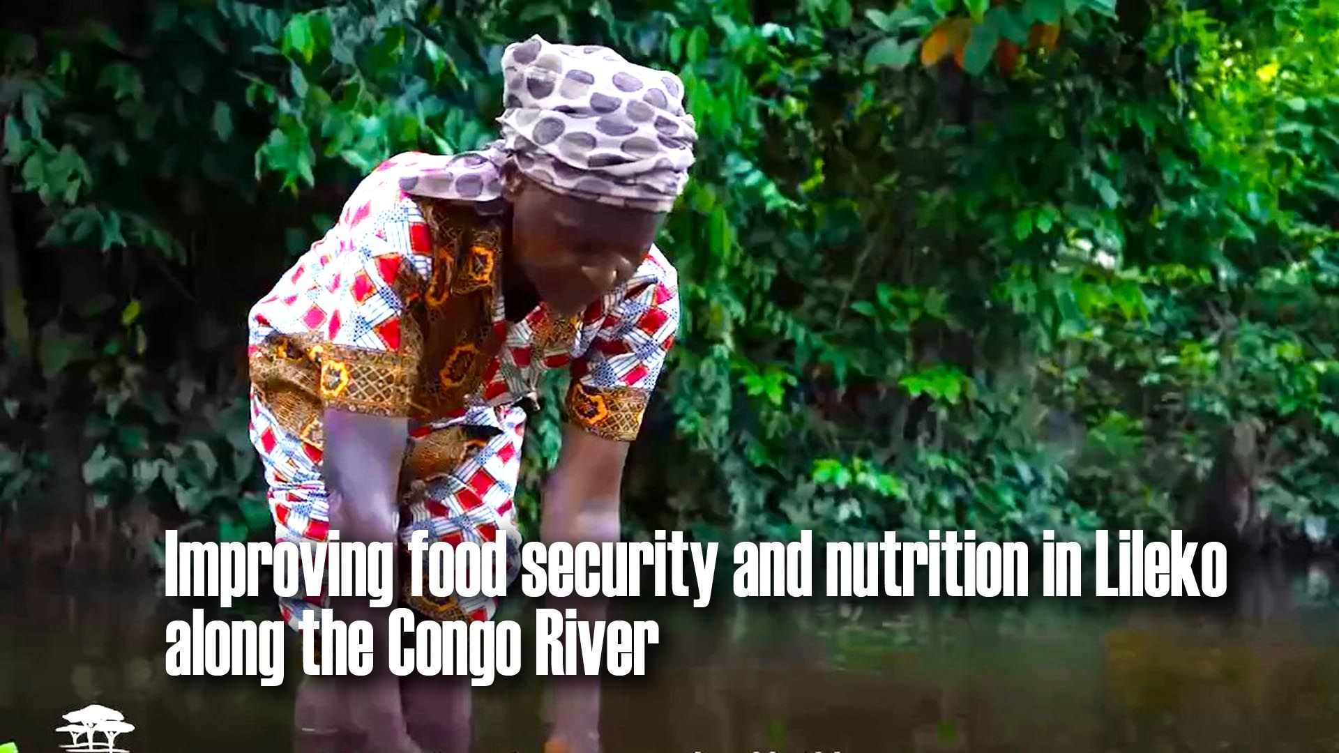 Food Security and Forests: Improving food security and nutrition in Lileko along the Congo River