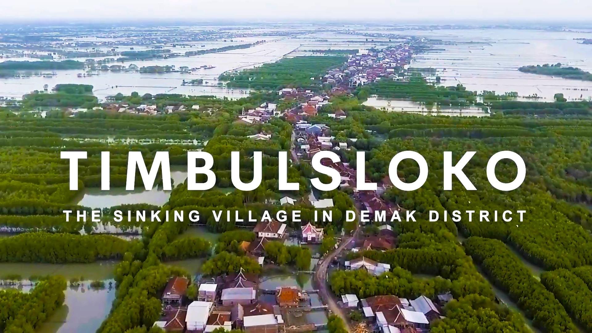 Timbulsloko: the sinking village in Demak District