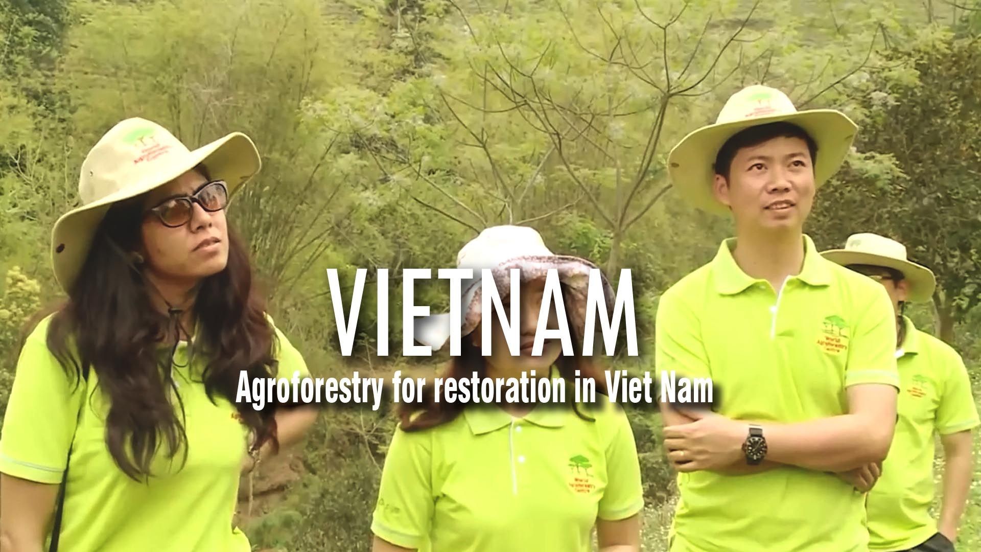 Agroforestry for restoration in Viet Nam