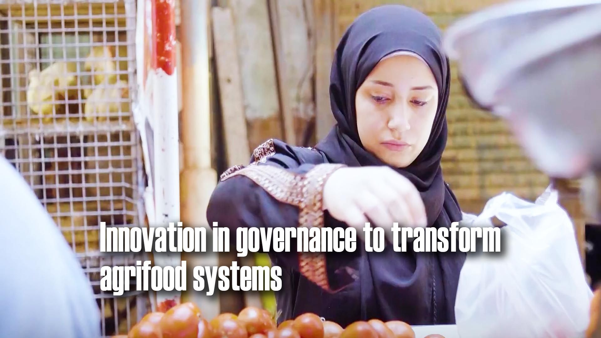 Innovation in governance to transform agrifood systems