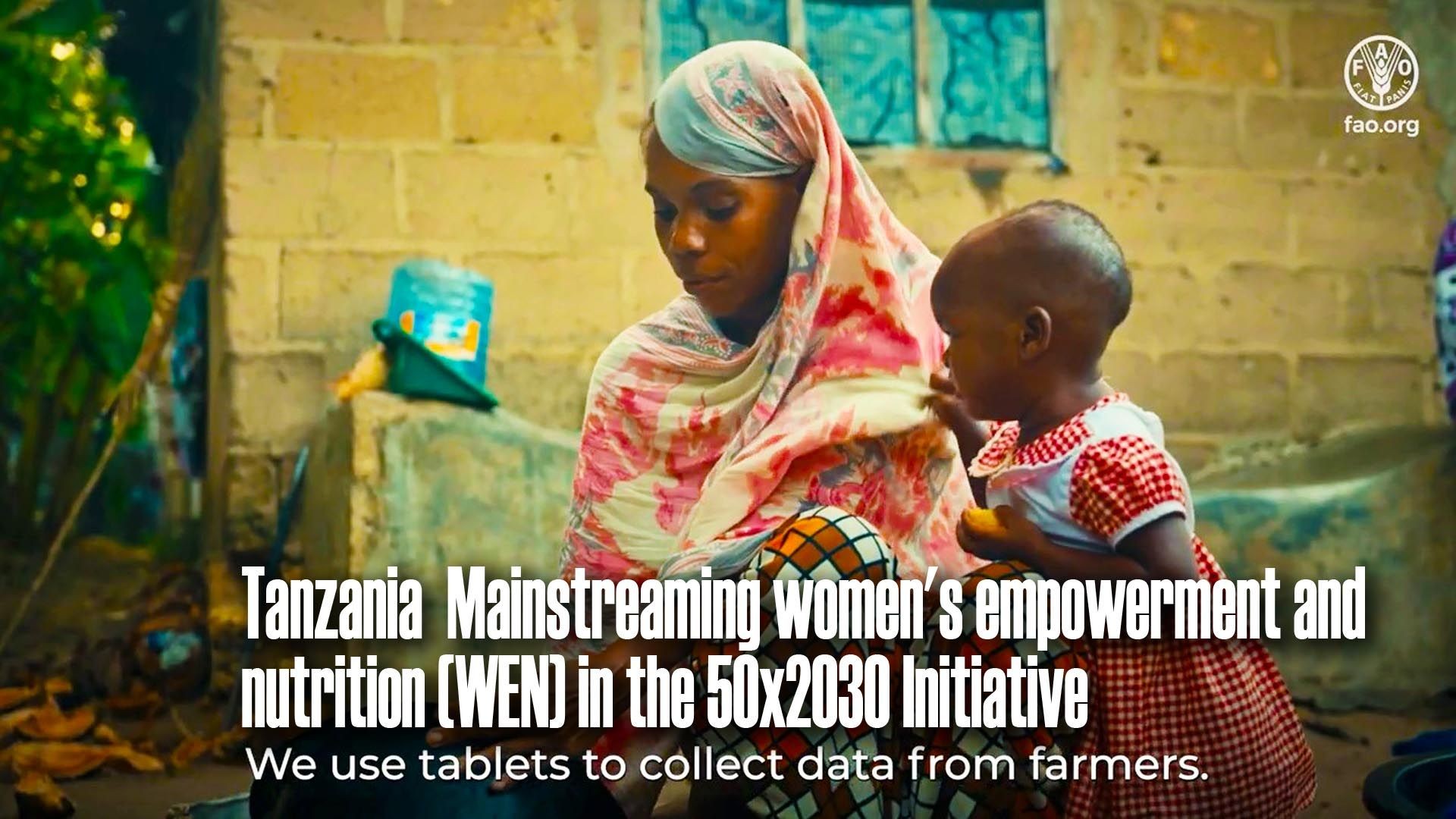 Tanzania: Mainstreaming women's empowerment and nutrition (WEN) in the 50x2030 Initiative