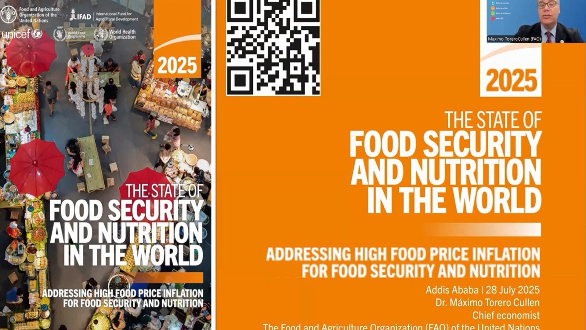 Technical presentation of The State of Food Security and Nutrition in The World