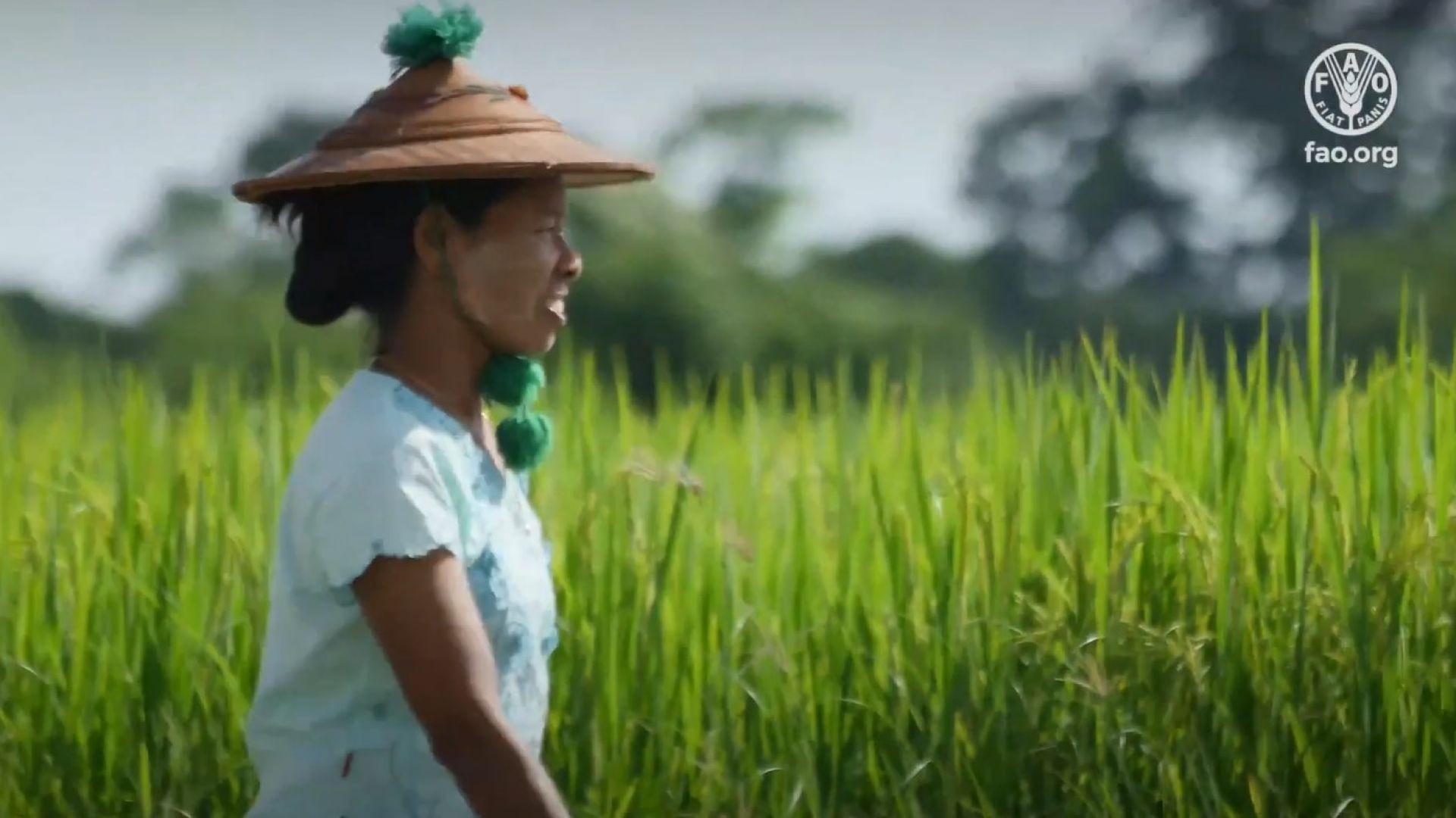 Family Farmers - the Future of Asia and the Pacific (APRC 35)