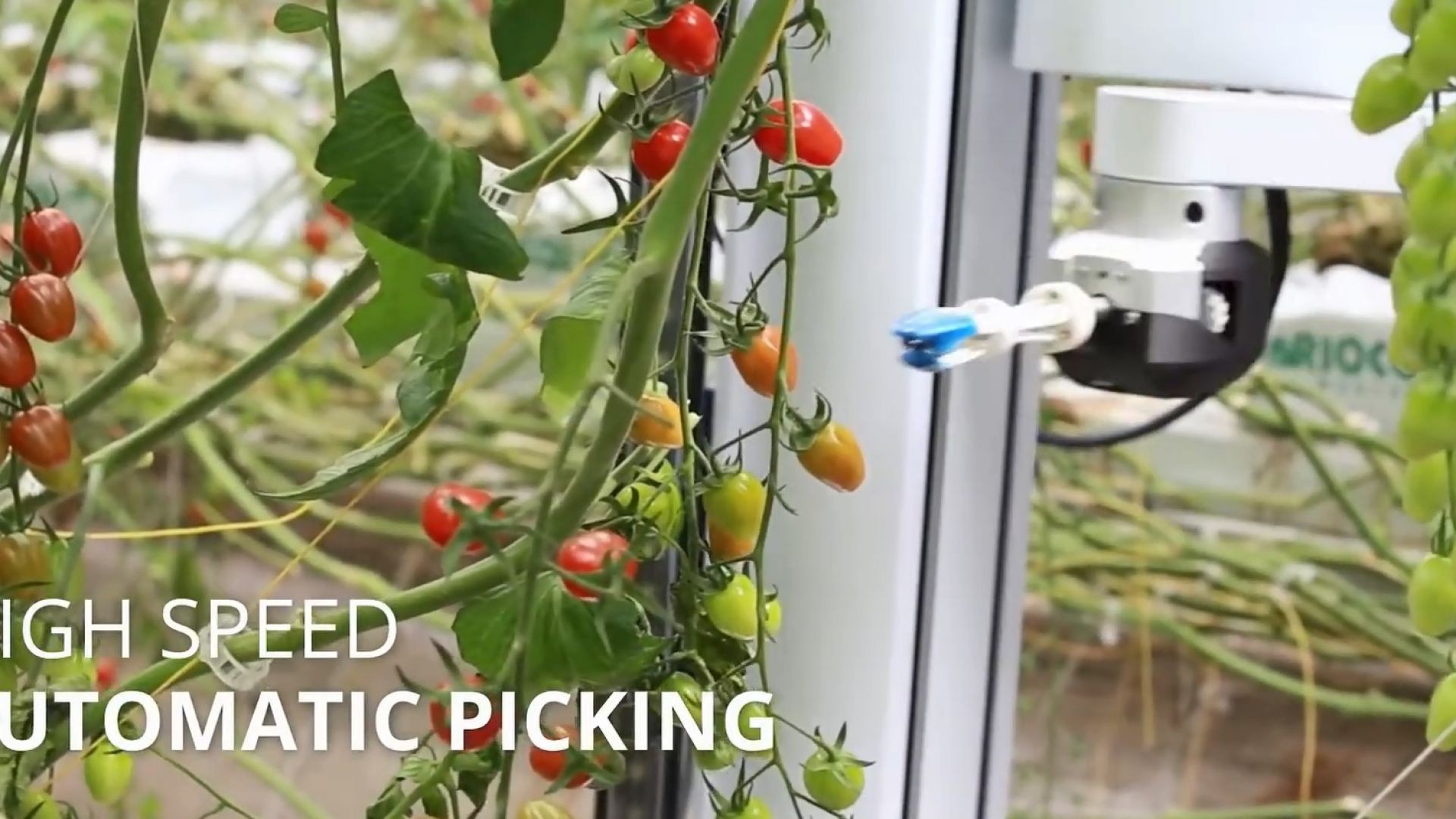 5 AI-Enabled Farming Robots | Future of Farming