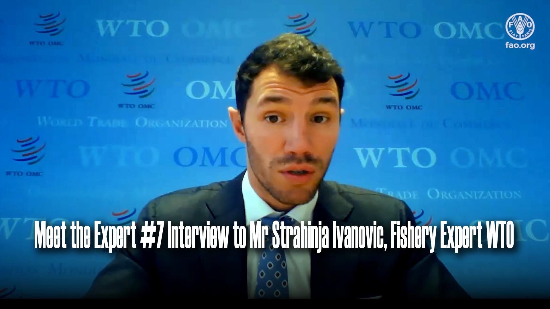 Meet the Expert #7 Interview to Mr Strahinja Ivanovic, Fishery Expert WTO