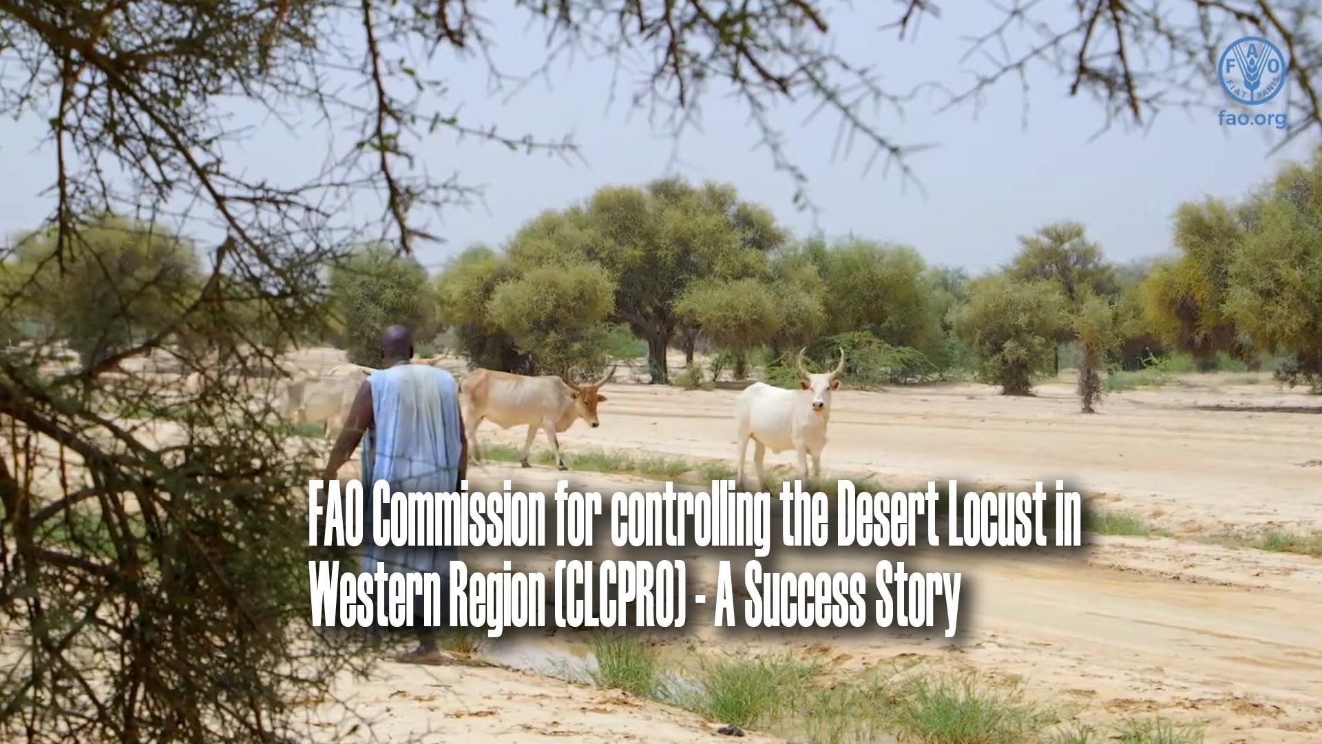 FAO Commission for controlling the Desert Locust in Western Region (CLCPRO) - A Success Story