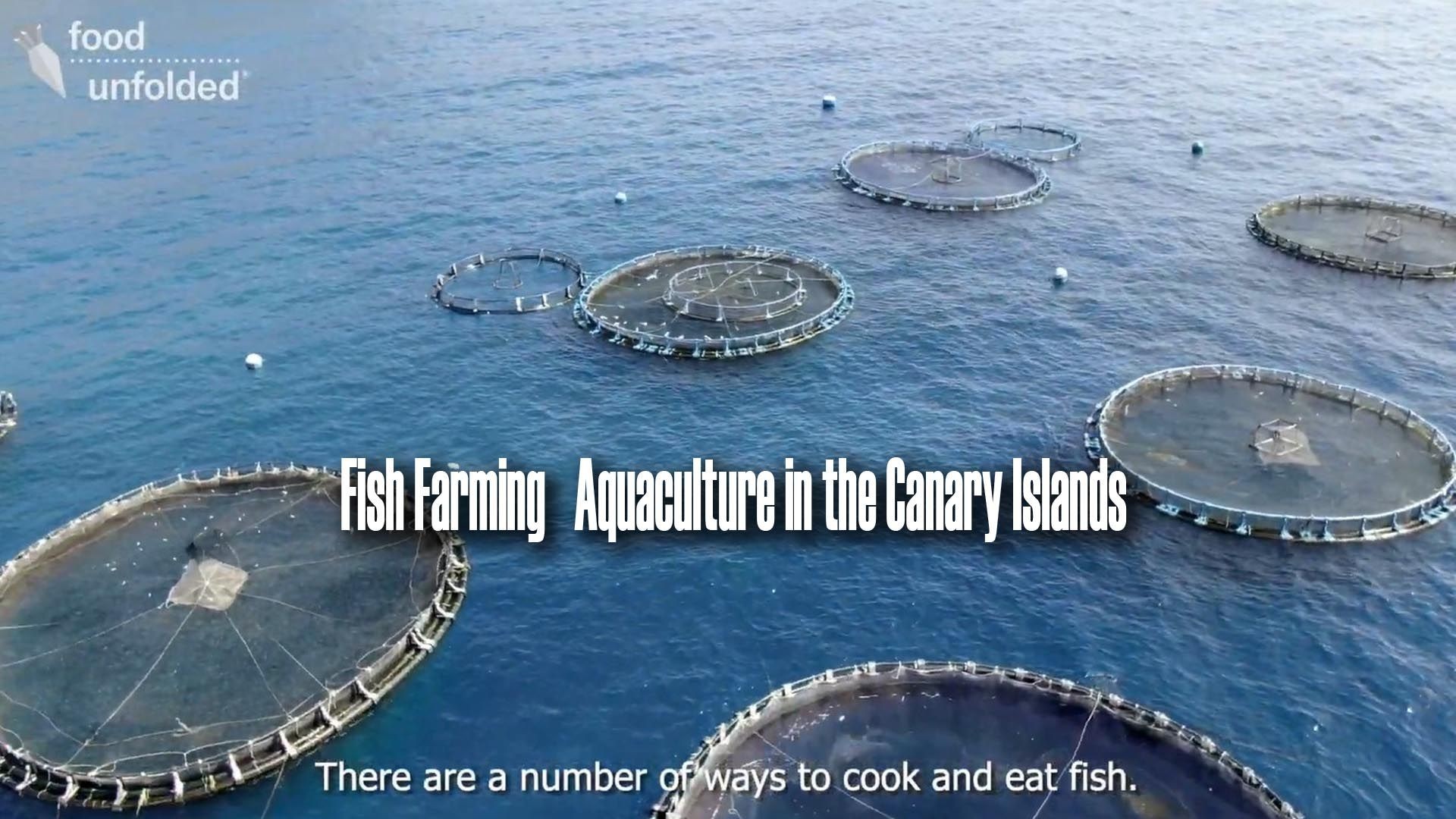 Fish Farming | Aquaculture in the Canary Islands